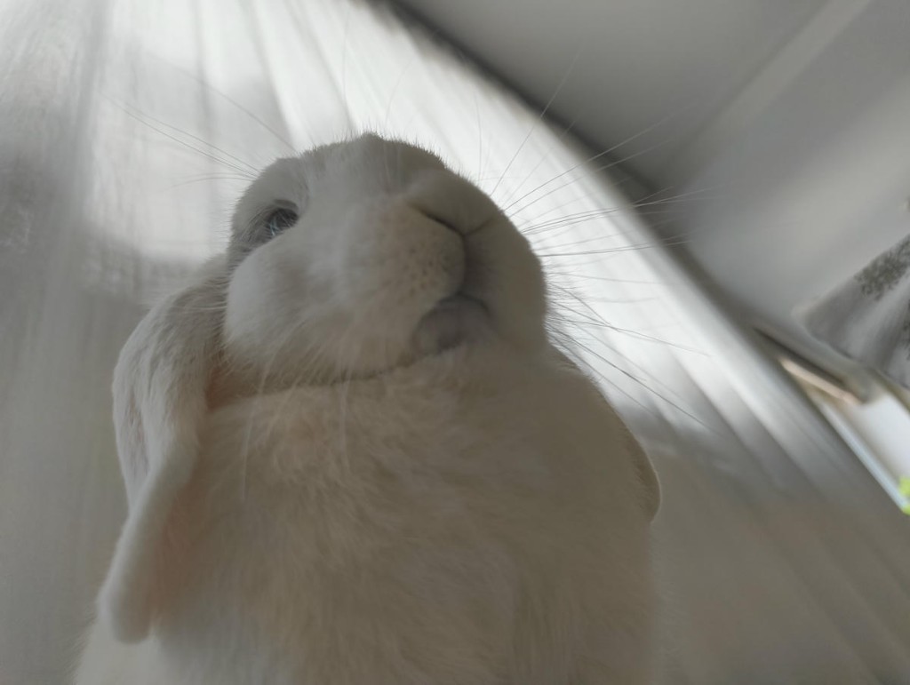 Bibi looking down at the camera